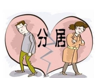 再婚财产分割的原则有哪些（再婚的财产怎么分配）